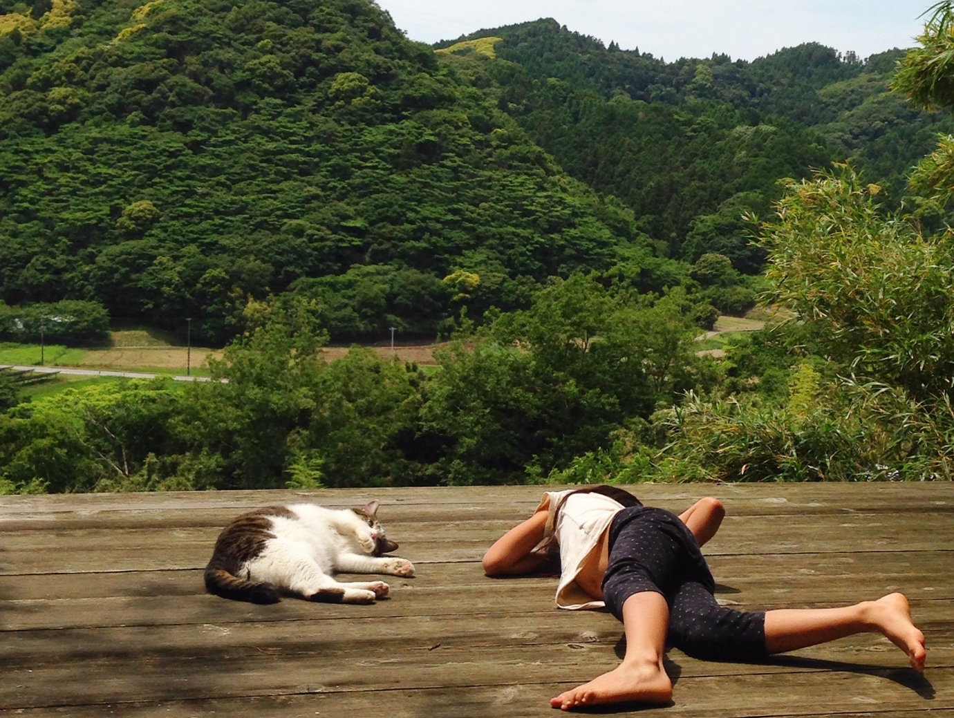 馬場未織さん南房総の自宅・猫と子ども