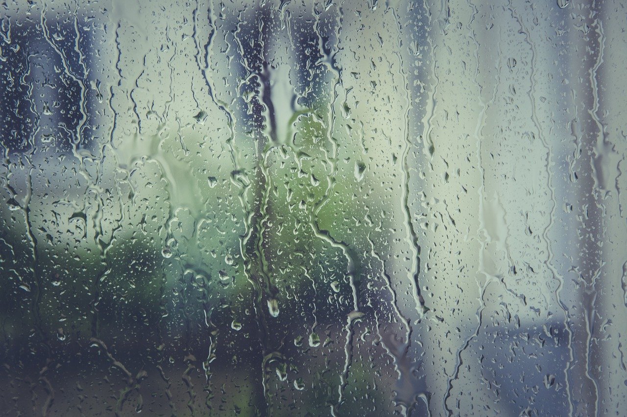 雨が降っている様子