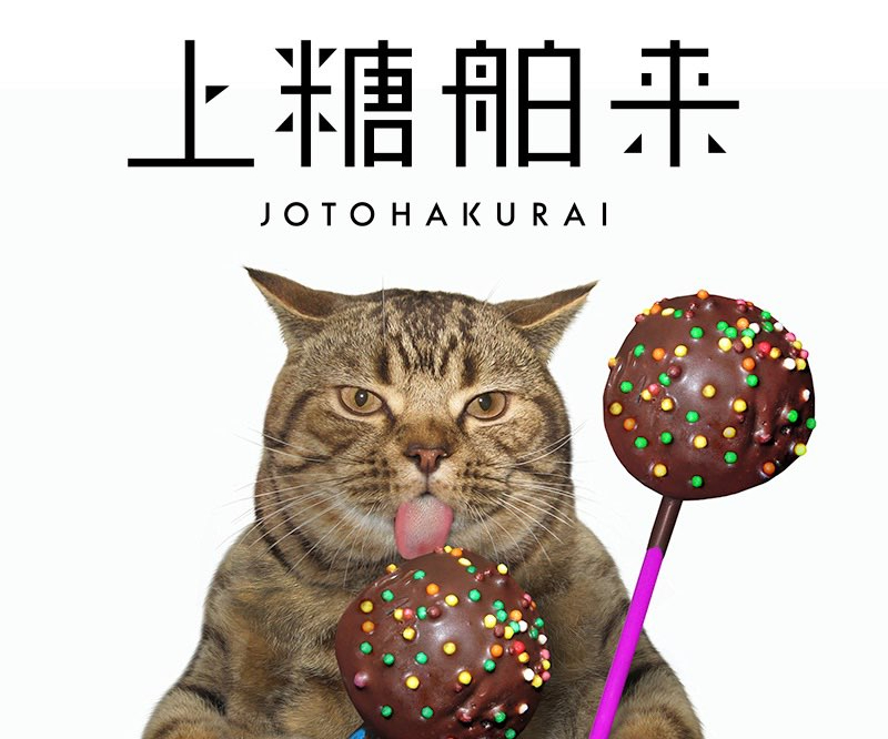 webデザイナーからオーナーパティシエへ、華麗な転身。小島和美さんが見つけた「自分の居場所」