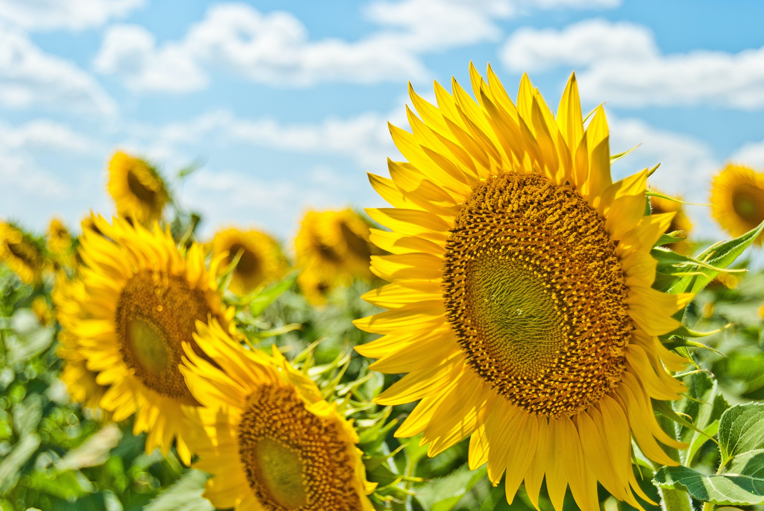 医師オススメの「夏バテ対処法」をご紹介！自律神経の乱れを防ぐ、3つのポイントって？