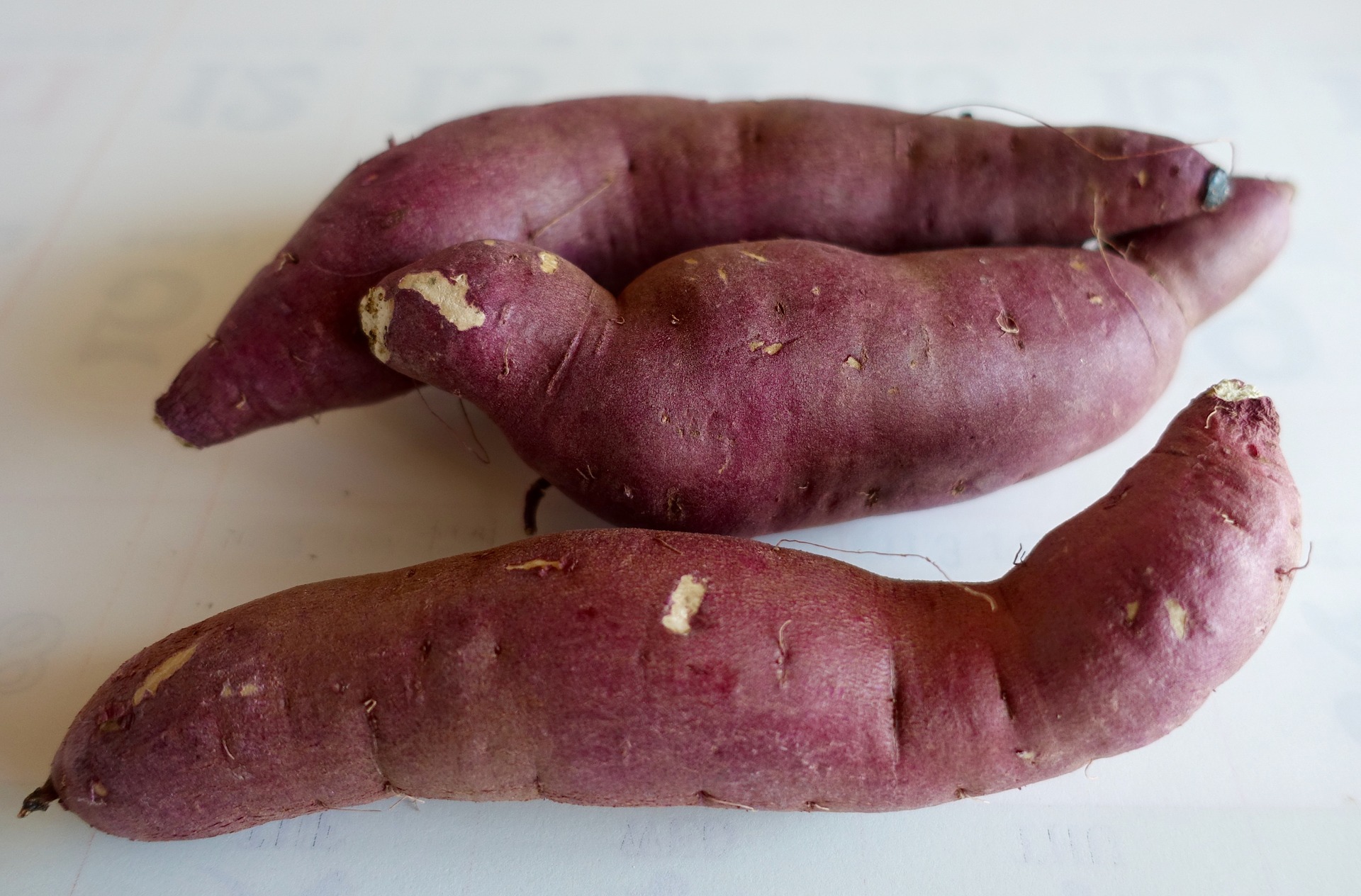 旬の食材には、こんないい効能が！食欲の秋に知っておきたい、東洋医学の考え方