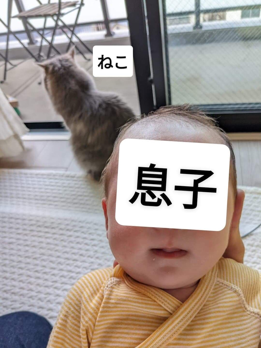 のなさん育休