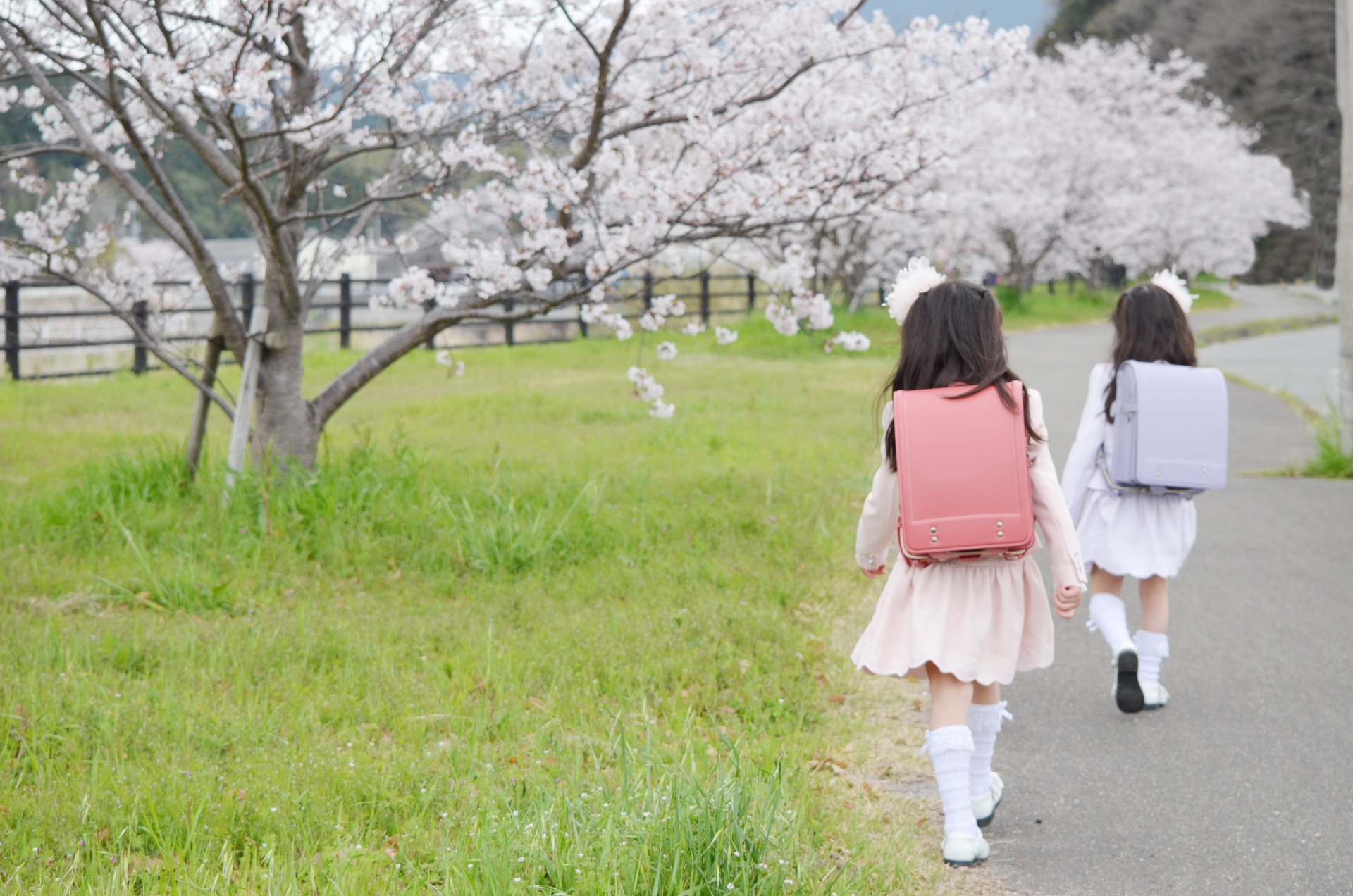 ワーママ「ラン活」ことはじめ】知っておきたい令和のランドセル基礎知識