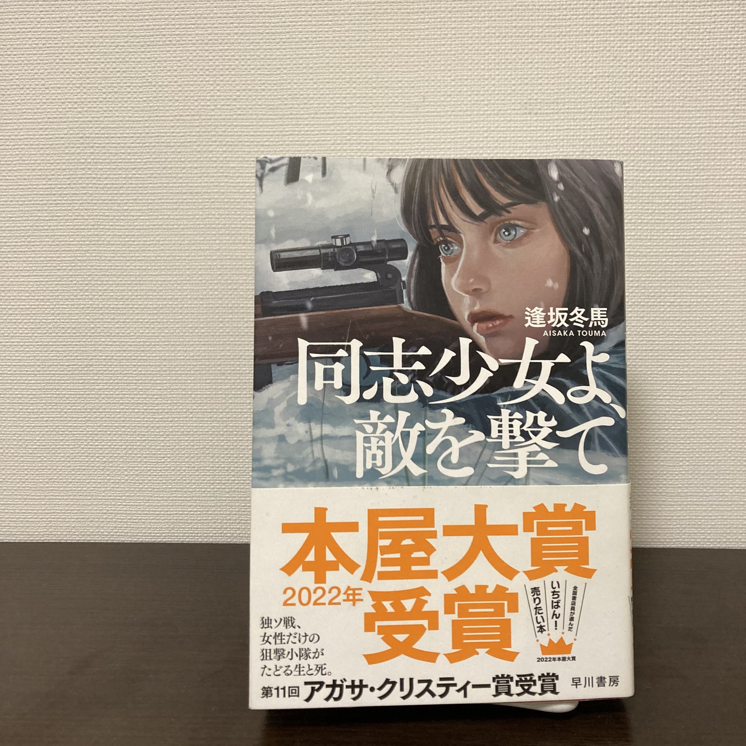 同志少女よ、敵を撃て