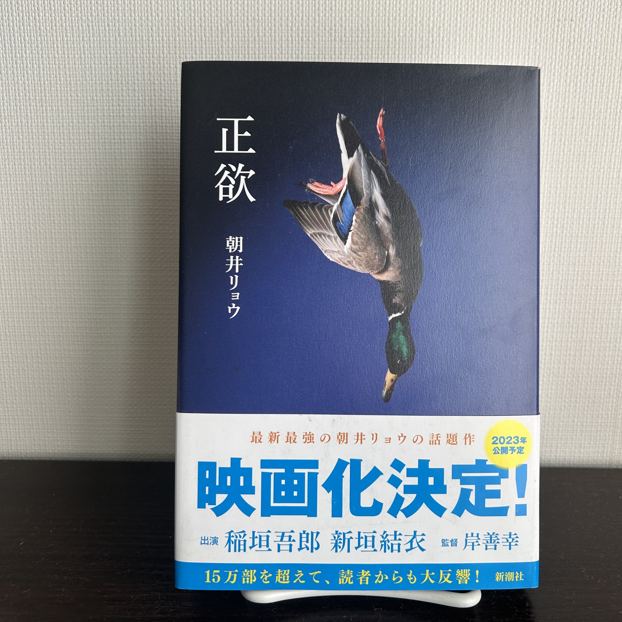 正欲